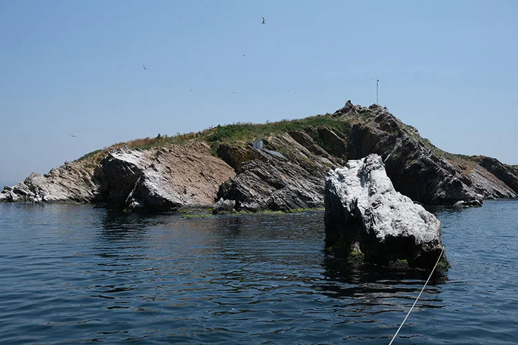 tavşan adası
