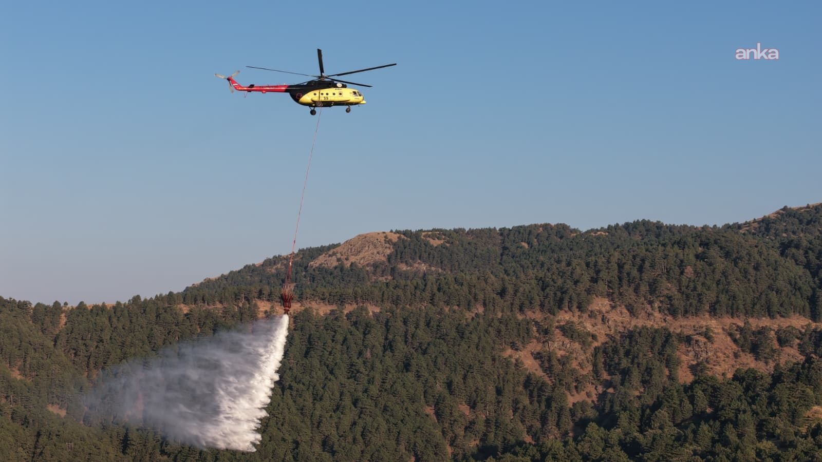 Aydın Kuyucak'ta orman yangını: Ekiplerin müdahalesi sürüyor-1