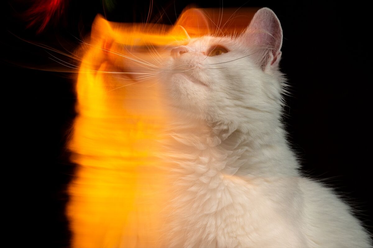 A A 20260808 42166443 42166420 8 A G U S T O S D U N Y A K E D I L E R G U N U