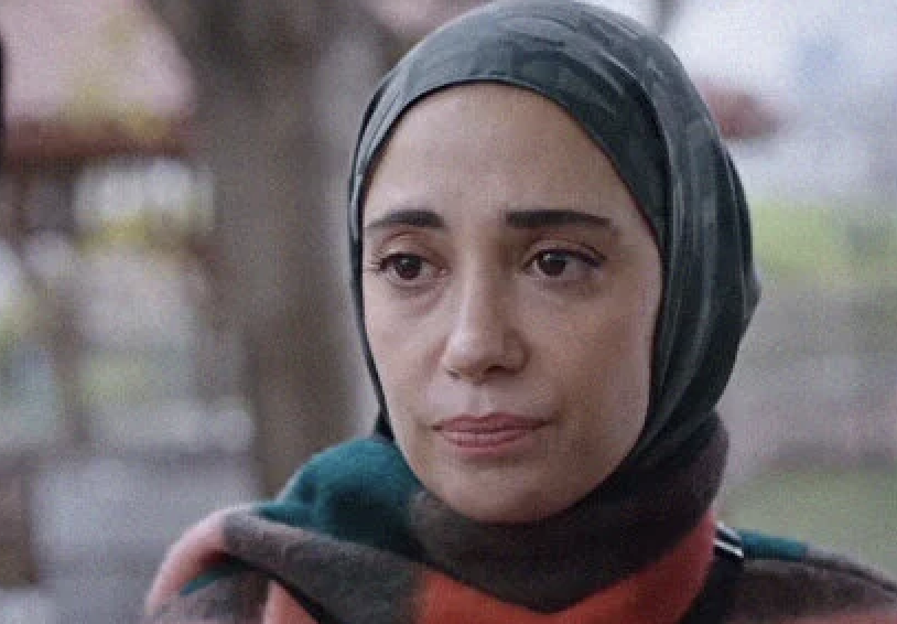 kızılcık şerbeti-9