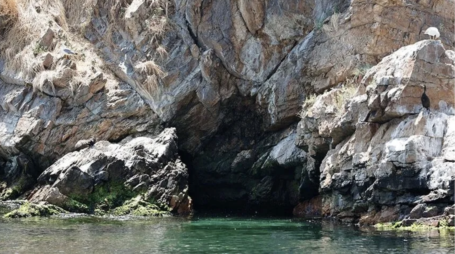 tavşan adası