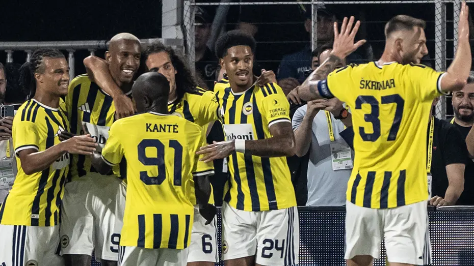 Fenerbahce 310034