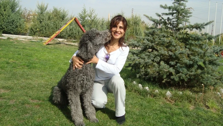 Gülay Ertürk