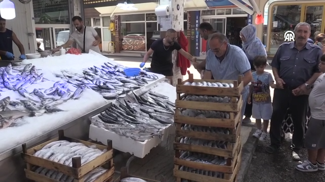 Karadeniz'de palamut bereketi: Sinop'ta kıyı balıkçıları sezon öncesi bol avla döndü