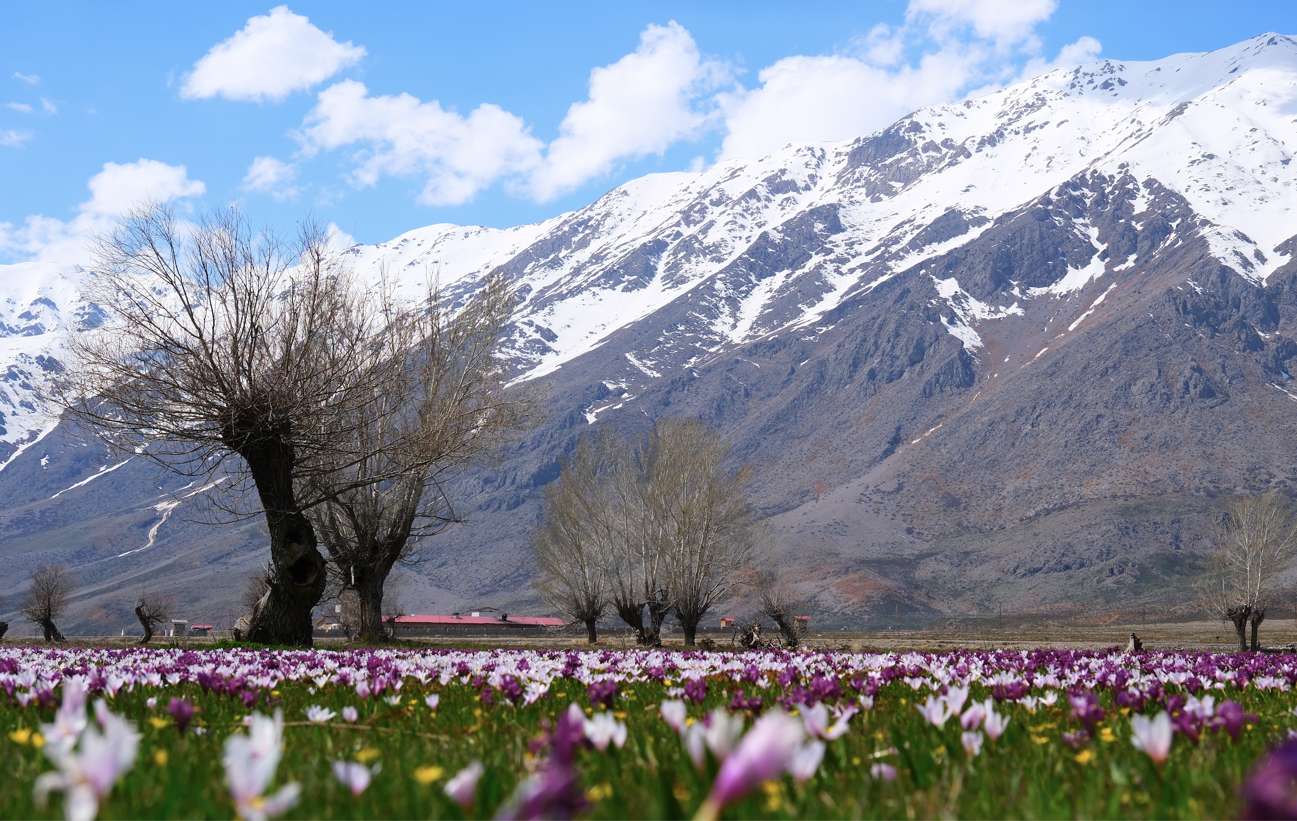 Tunceli Barosu’ndan Munzur Vadisi için Dünya Mirası çağrısı: