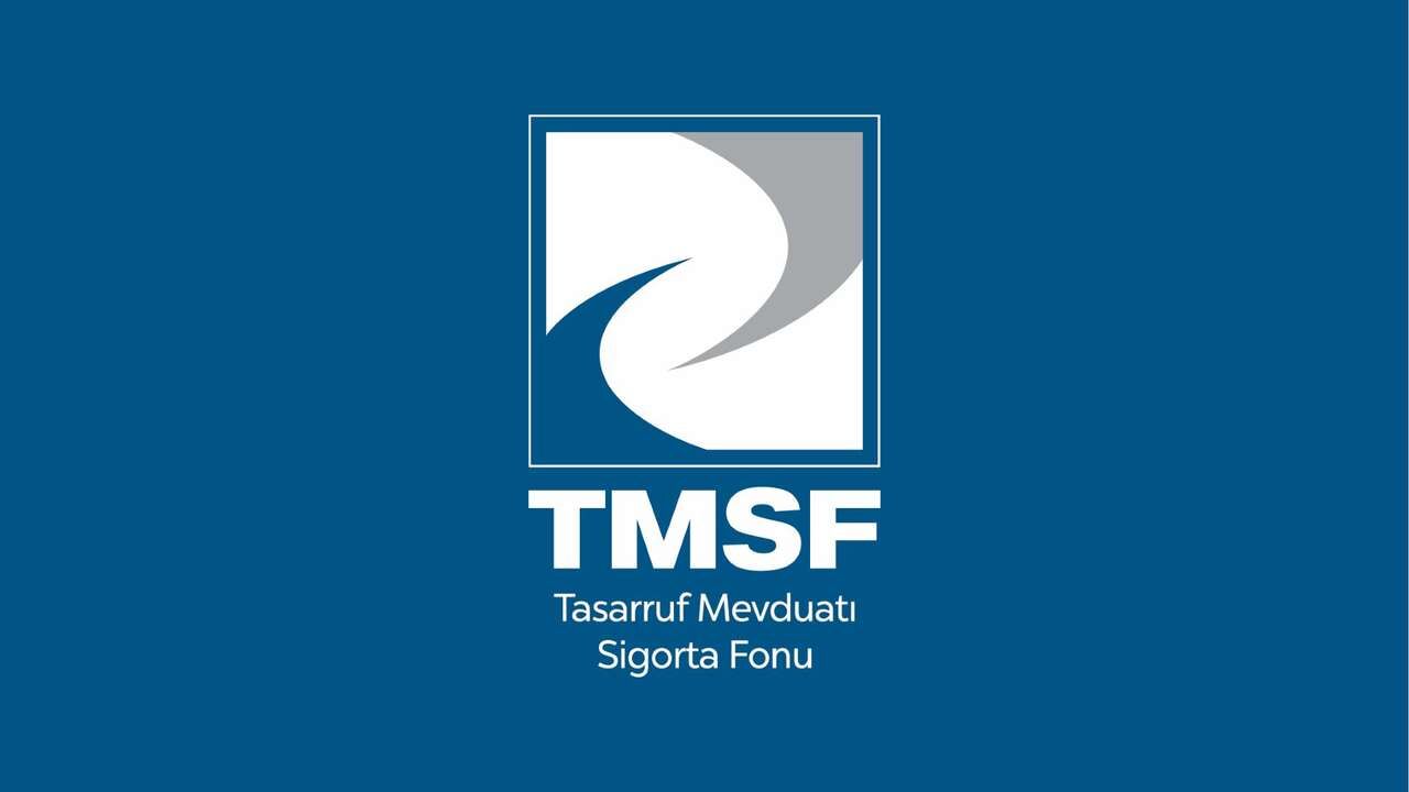 Tmsf 3