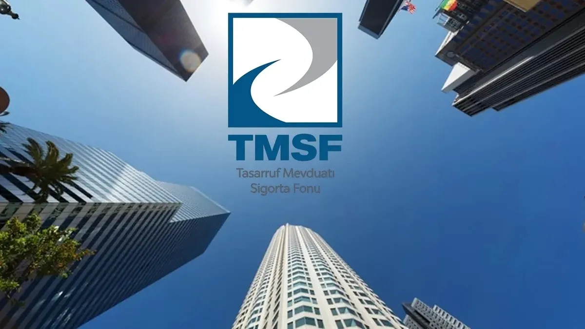 Tmsf 6