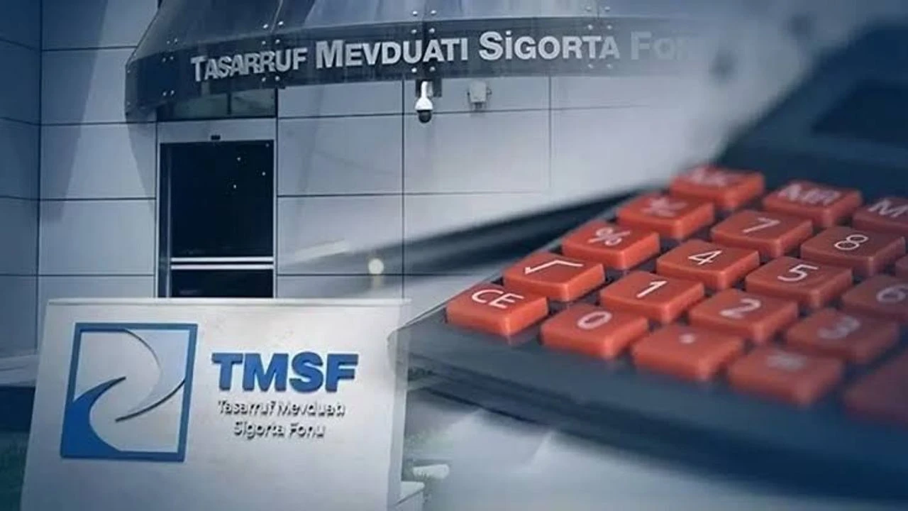 Tmsf 8