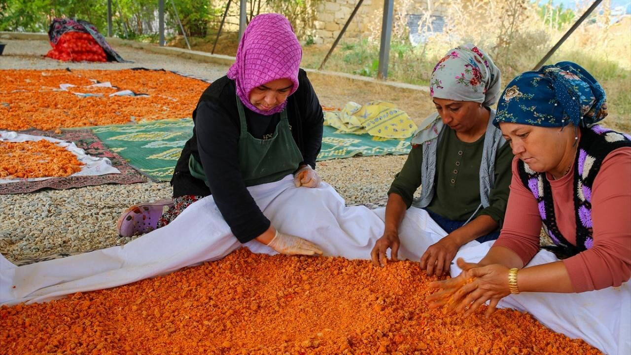 Uşaklı kadınlar imece usulüyle coğrafi işaretli tarhanayı geleceğe taşıyor