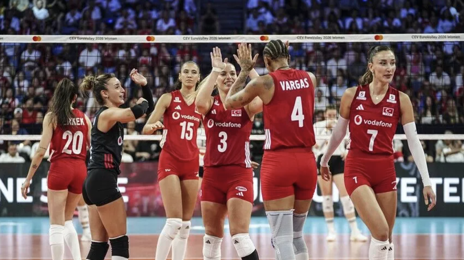 Voleybol Milli Takımları'nın sponsoru Alves Kablo konkordato istedi