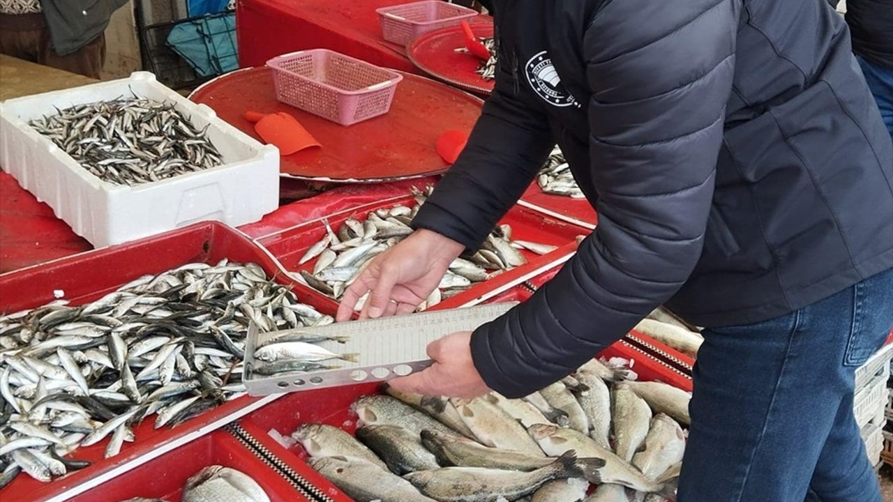 Beyşehir'de boy limiti altında balık satışı yapanlara ceza uygulanıyor