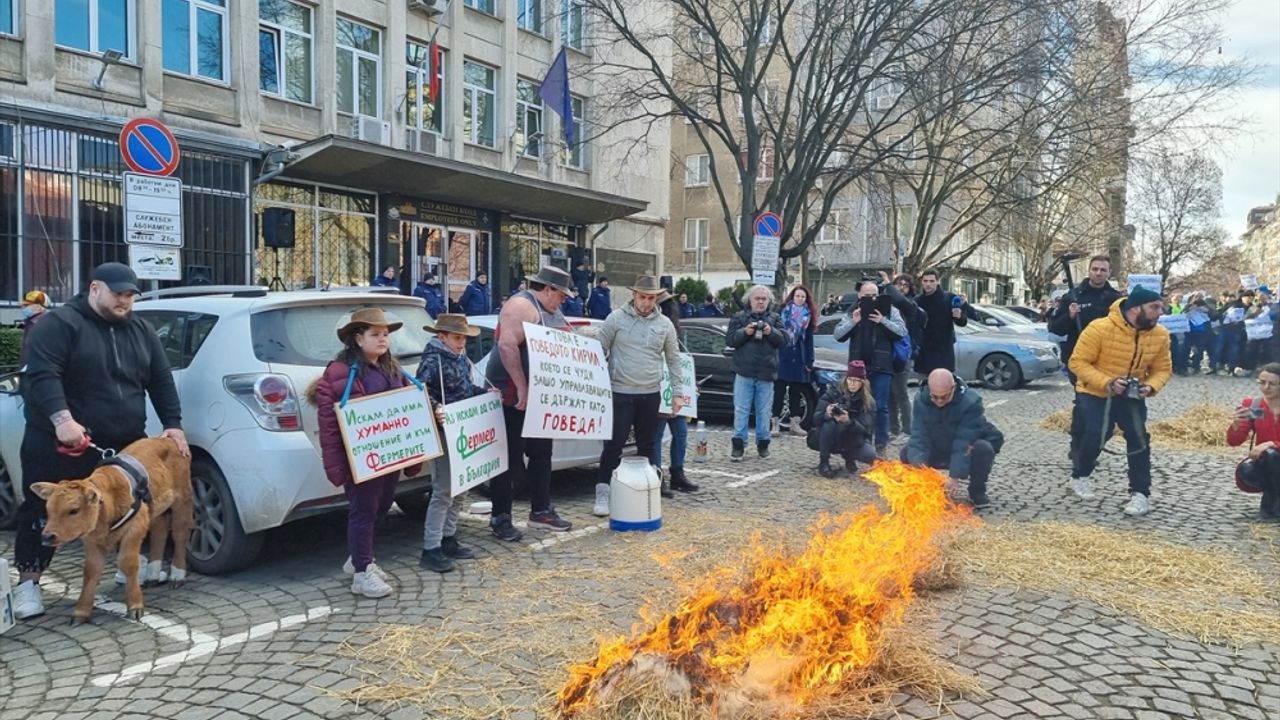 Bulgaristan’da çiftçiler protesto düzenledi