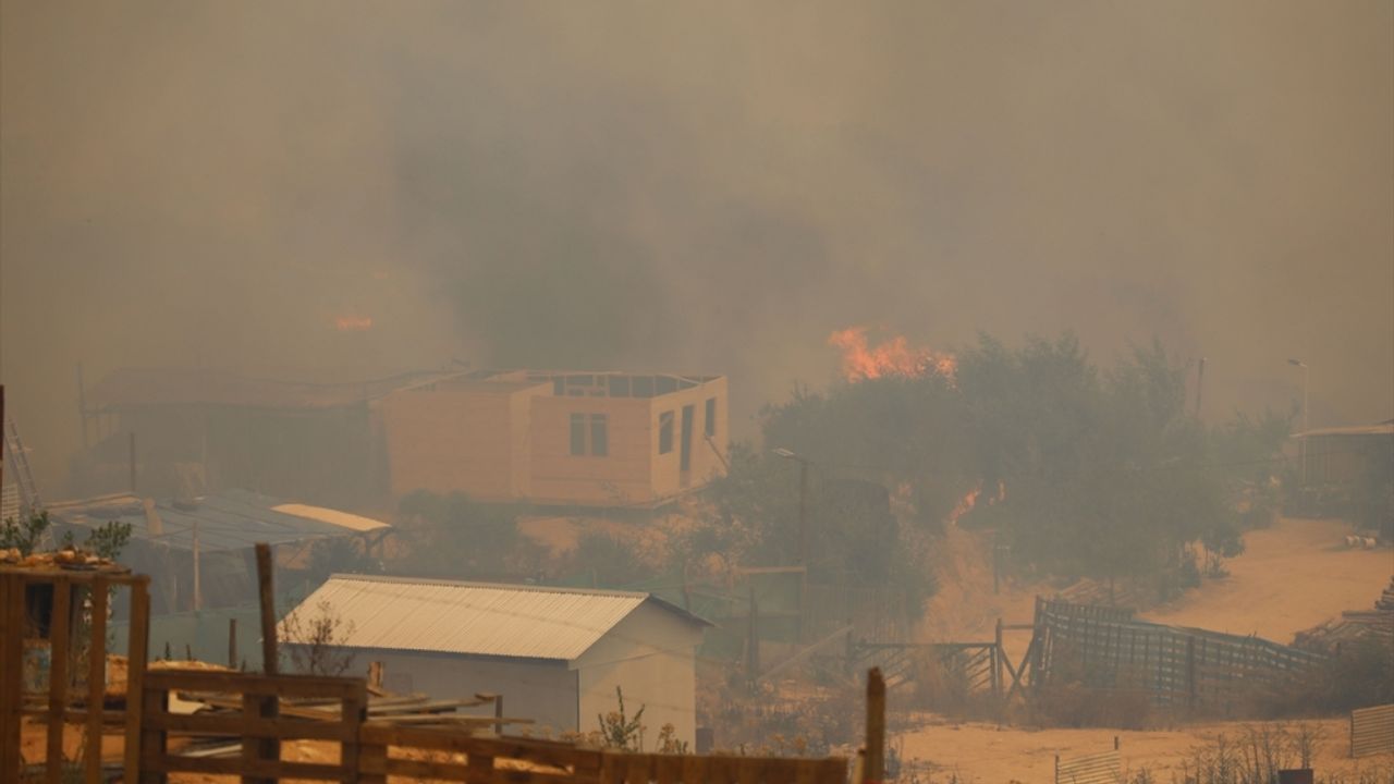 GÜNCELLEME - Şili'de çıkan orman yangınlarında 19 kişi hayatını kaybetti