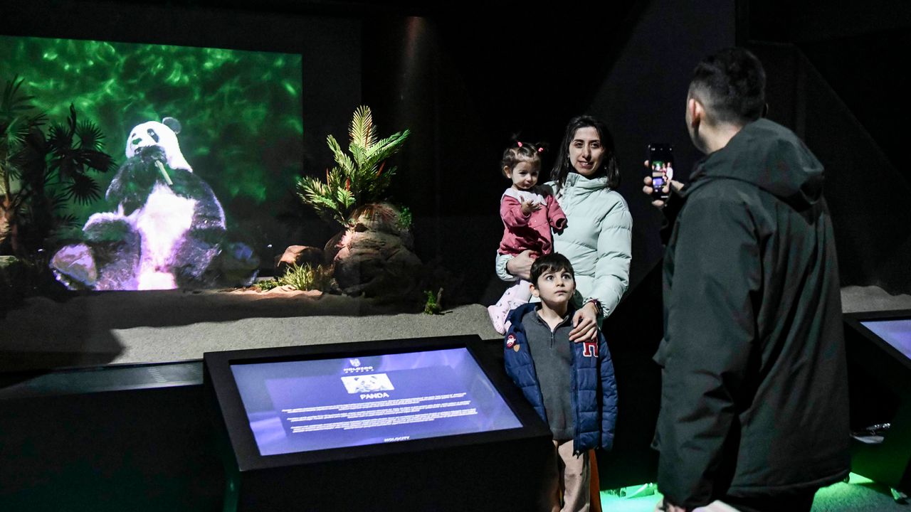 Ankara Dijital Hayvanat Bahçesi, yoğun ilgiyle karşılandı