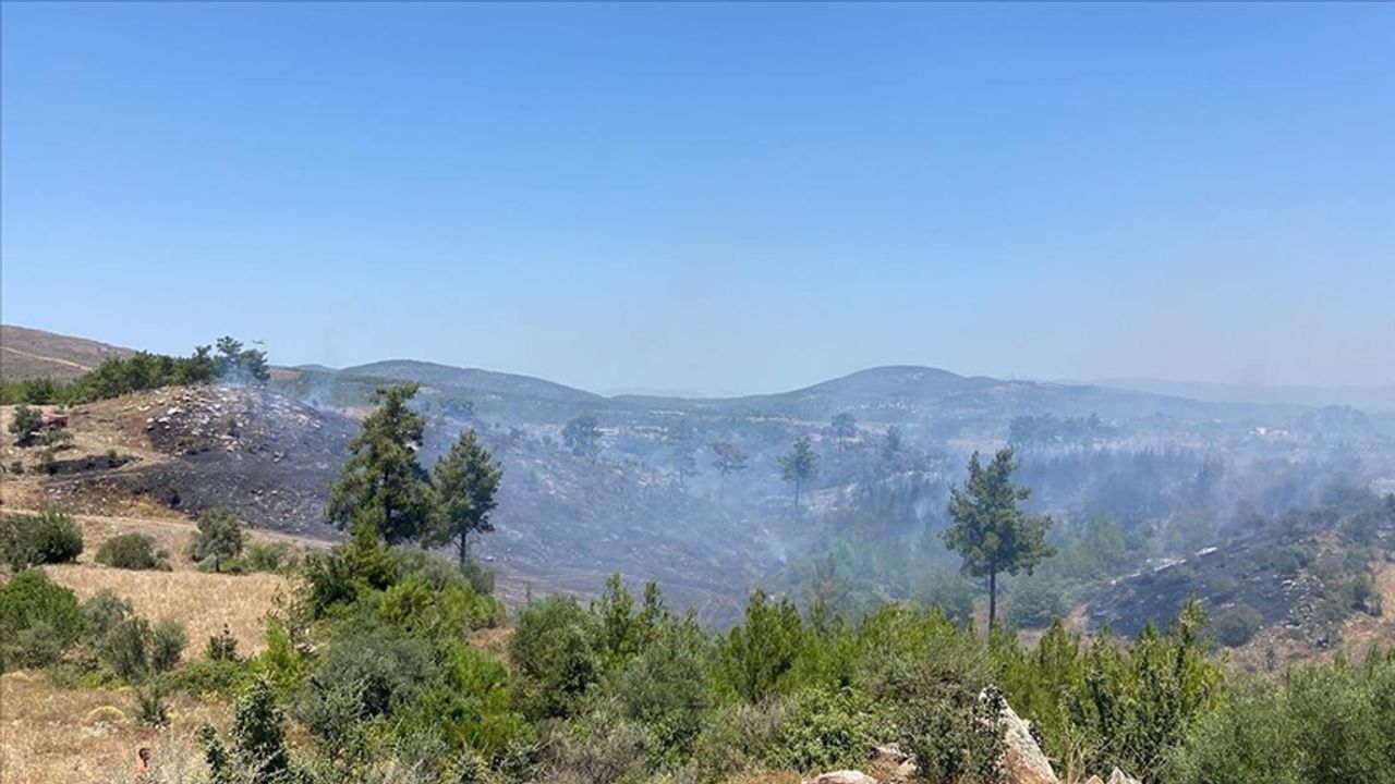 Orman Genel Müdürlüğü'nden Milas açıklaması: Görüntüler yangın bölgesinden değil