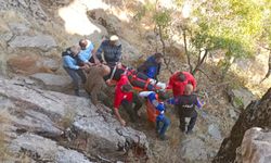 Ambulans helikopter Tunceli'de ayak bileği kırılan hasta için havalandı