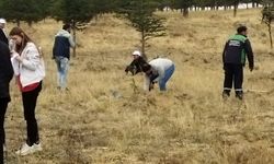 Bünyan'da lise öğrencileri 1000 fidan dikti