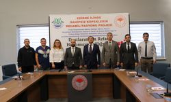 Edirne'de "Sahipsiz Köpeklerin Rehabilitasyonu" projesi uygulanacak