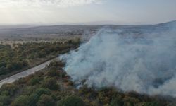 Edirne'de sınır kapısı yolu kenarında başlayıp ağaçlık alana sıçrayan yangın söndürüldü