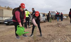 Kahramankazan'da Cumhuriyetin 100. yılına özel hatır ormanı oluşturuldu