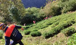 Rize'de teleferikten düşen kişi yaralandı