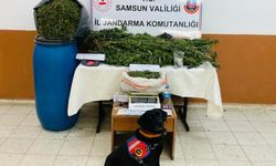 Samsun'da uyuşturucu operasyonunda 1 kişi gözaltına alındı