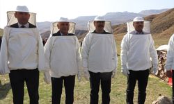 Siirt'in Çemikari Yaylası'nda kara kovan balının hasadı yapıldı