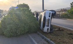 Amasya'da devrilen otomobildeki 4 kişi yaralandı