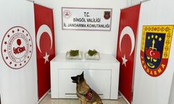 Bingöl'de 12 kilo 550 gram esrar ele geçirildi