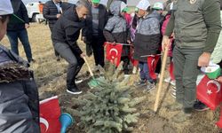 Doğu Anadolu'da fidanlar toprakla buluşturuldu