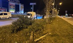 Erzurum'da devrilen hafif ticari araçtaki 1 kişi öldü, 7 kişi yaralandı