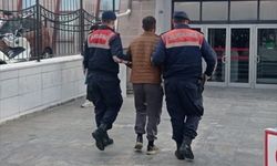 Eskişehir'de iskele demiri hırsızlığının 3 şüphelisinden biri tutuklandı
