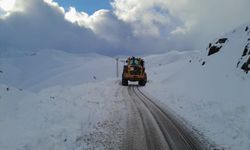 Hakkari'de kardan kapanan mezra yolu ulaşıma açıldı