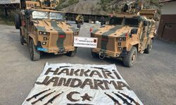 Hakkari'de terör operasyonlarında silah ve mühimmat ele geçirildi