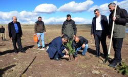 Kars'taki Asboğa Gölü çevresine yaban kuşları için 100 fidan dikildi