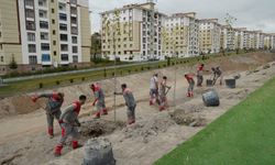 Melikgazi Belediyesi fidanları toprakla buluşturuyor