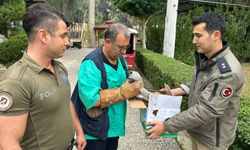 Mersin'de kuş tuzağına bırakılan bayağı çakır kuşunu polis kurtardı