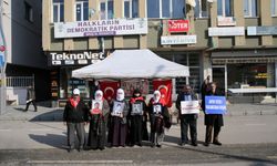 Muşlu aileler çocuklarına kavuşma ümidiyle HDP önündeki eylemini sürdürüyor