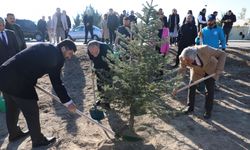 Niğde Ömer Halisdemir Üniversitesi 1000 fidan dikti