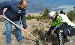 Orta ilçesinde fidanlar toprakla buluşturuldu