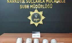 Şanlıurfa'da 3 kilo 600 gram skunk ele geçirildi