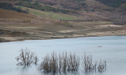 Tekirdağ'ın su ihtiyacını karşılayan barajda doluluk oranı yüzde 8'e düştü