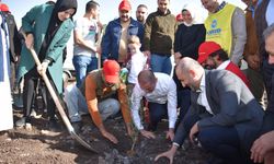 THY'den Şanlıurfa'ya 90 bin meyve fidanı