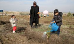 Van, Bitlis, Hakkari ve Muş'ta fidanlar toprakla buluşturuldu