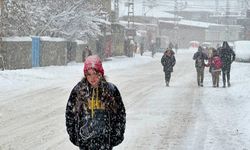 Van'da kar yağışı devam ediyor