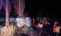 Afyonkarahisar'da refüje çarpan otomobilin sürücüsü hayatını kaybetti