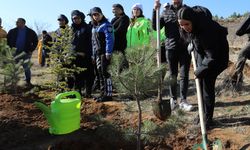 Aksaray'da "Evlilik Hatıra Ormanı Projesi" başlatıldı