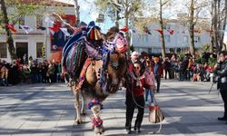 Çanakkale'de "En Güzel Deve Yarışması" düzenlendi