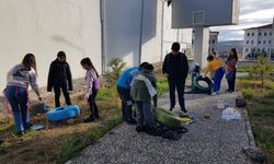 Çekerek'te ilkokul öğrencileri sahipsiz kediler için barınak yaptı