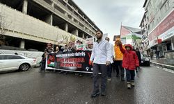 Diyarbakır, Bingöl, Siirt ve Batman'da sağlık çalışanları Gazze için yürüdü